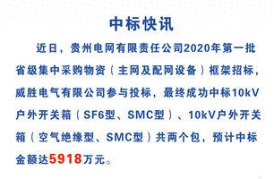 威胜电气中标贵州电网5918万元